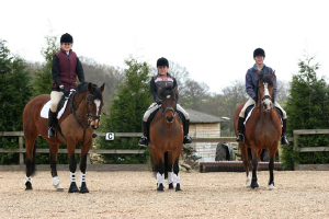 Bailey, Troy and Winnie