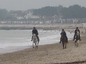 Image of beach riding