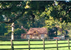 Wren Cottage in Summer