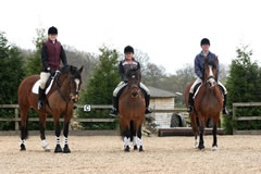 Bailey, Troy and Winnie